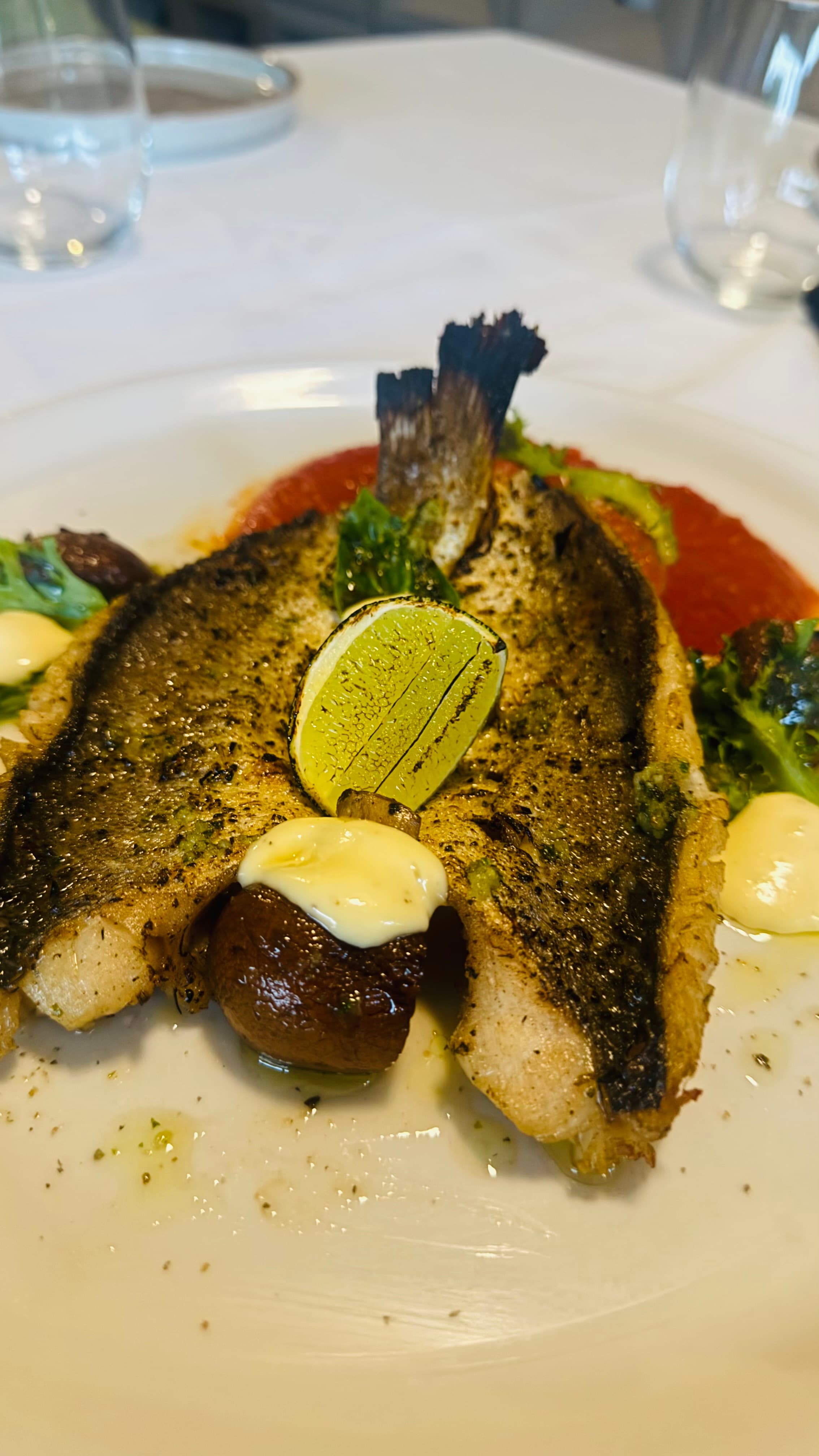 Corvina al carbón